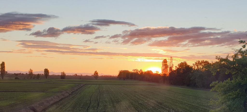 Landschaft am Morgen. Foto: Claudia Haberkern