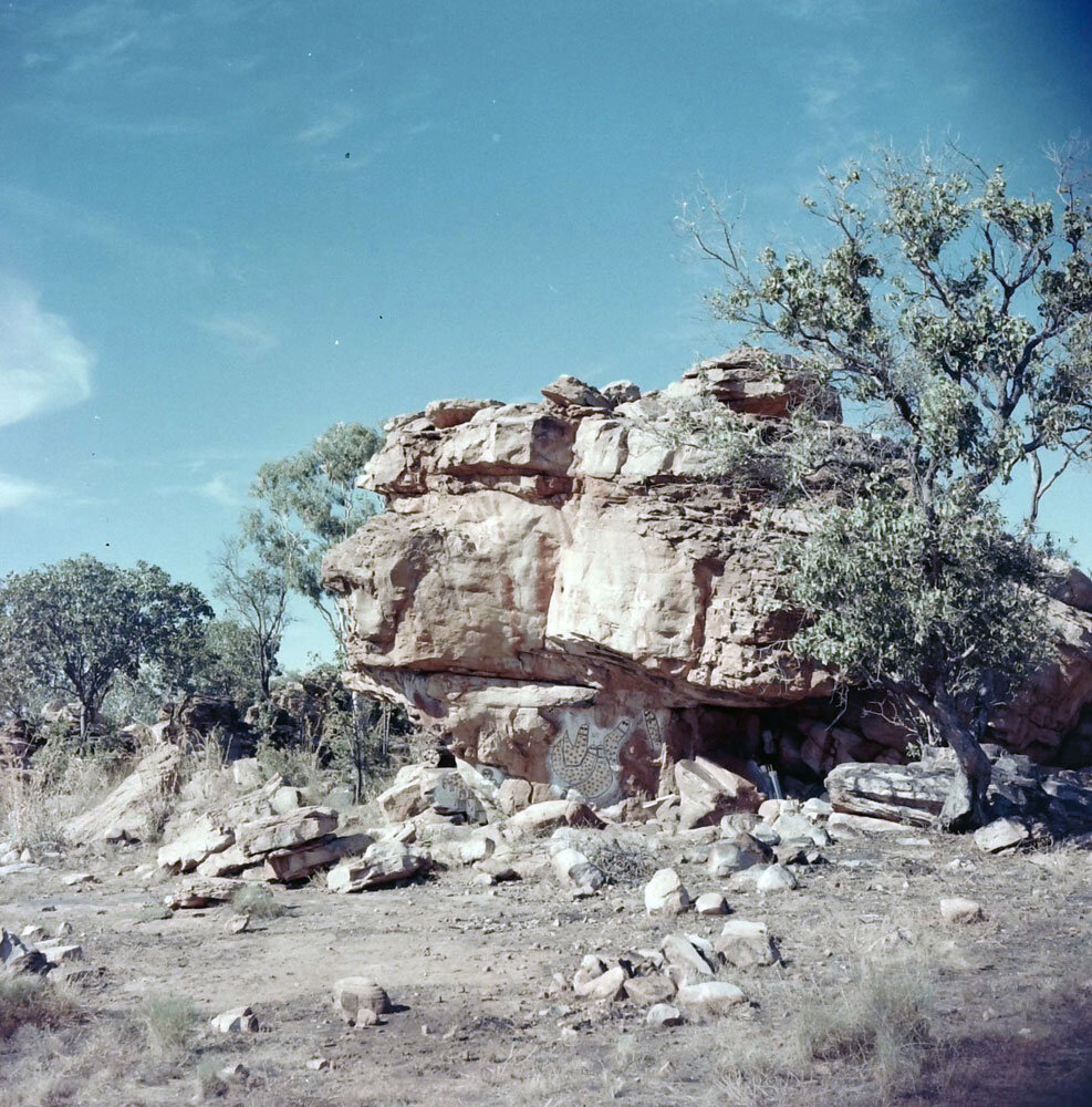 © MFK, A. Lommel I Felsbildstelle Molkott I Felsbildstelle Molkott (Kimberley-Gebiet, Nordwest Australien) 1954/55 I Inv. Nr. FO-109-11-22)