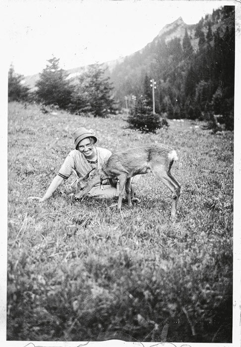 Mal mit Kuh, mal mit Reh. Die Verehrer waren eingespannt zu fotografieren.