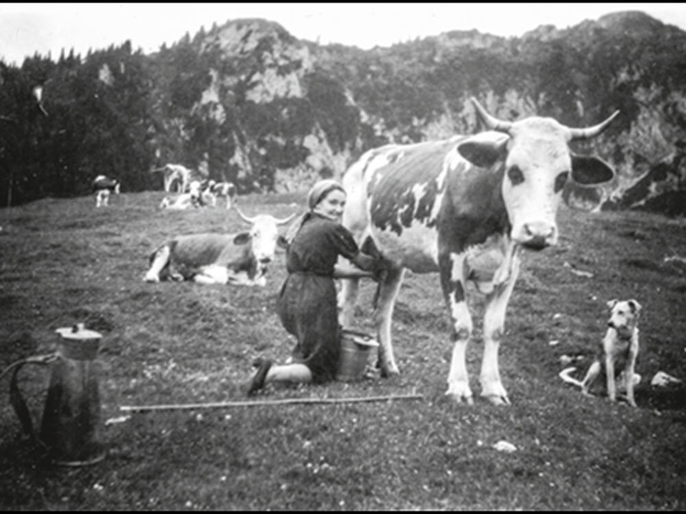 Sennerin beim Melken – hier meine Mutter 1943 auf der Alm ihrer Eltern. #femaleheritage