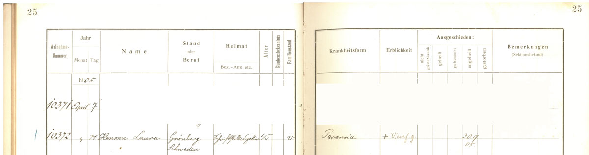 Auszug Zugangsbuch: 10372 Hansson, Laura; Grönberg, Schweden;