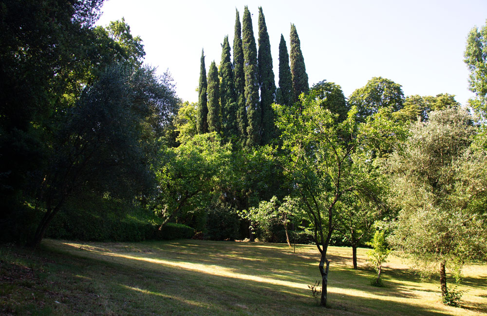 Obstbaumwiesen im Park von San Francesco di Paola