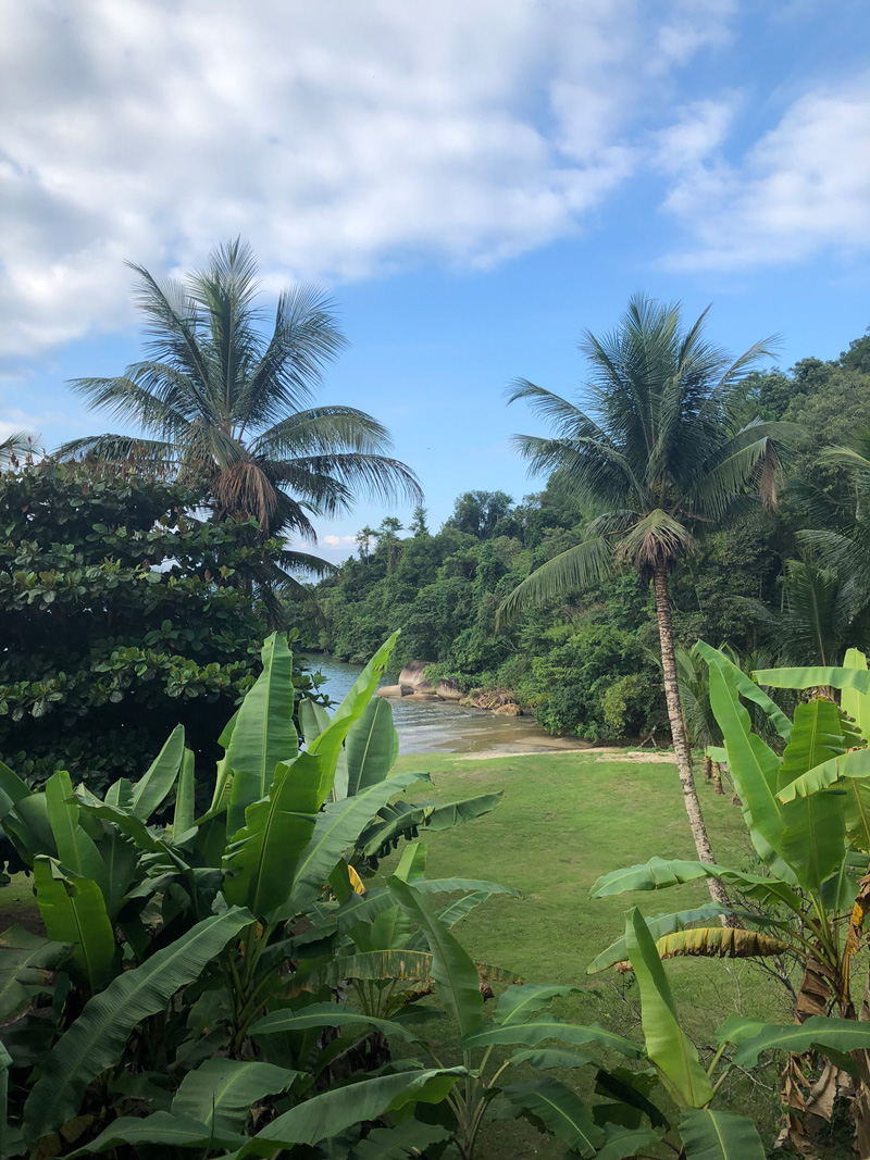 Palmen mit Blick auf eine Bucht am Meer: Paraty, Kindheitsort von Julia Mann.