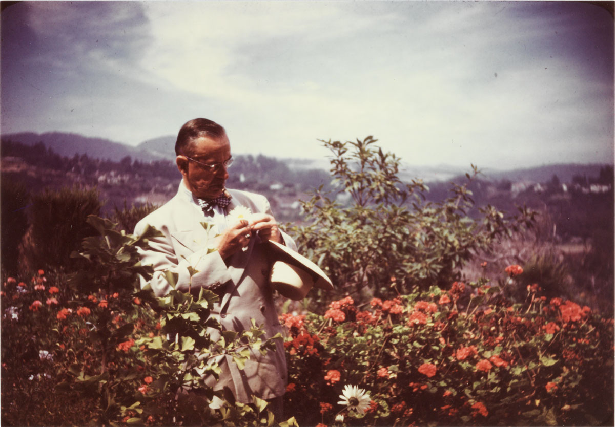 Thomas Mann mit Hut und Blume in der Hand, steht in einem Blumenfeld in Pacific Palisades