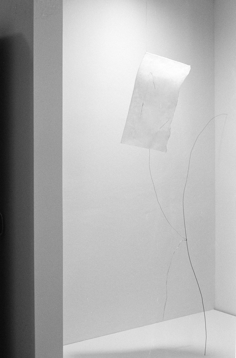 Schwarz-Weiß-Aufnahme: Kunstwerk "Entlang Linien" für die Ausstellung "Literatur & Haltung" von Miriam Salmander