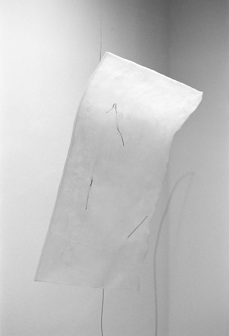 Detailaufnahme, Ausstellungsansicht «Entlang Linien» in der Monacensia. © Miriam Salamander
