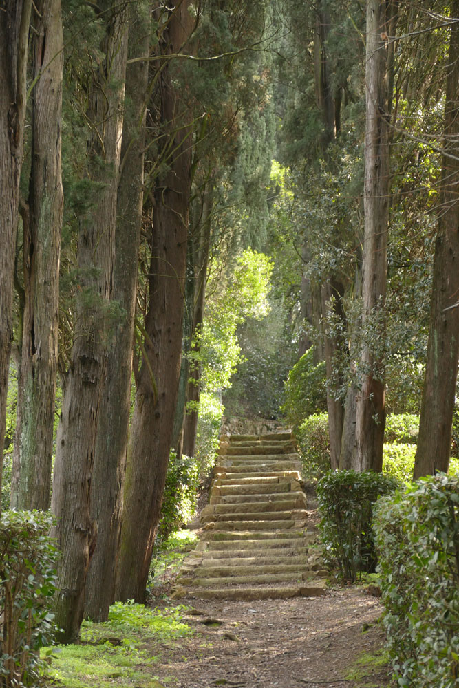 Blick auf verwitterte Steintreppe in Zypressenallee, San Francesco di Paola